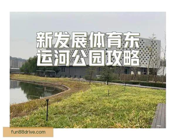 2026世界杯最新买球策略与热门赛事全方位推荐指南